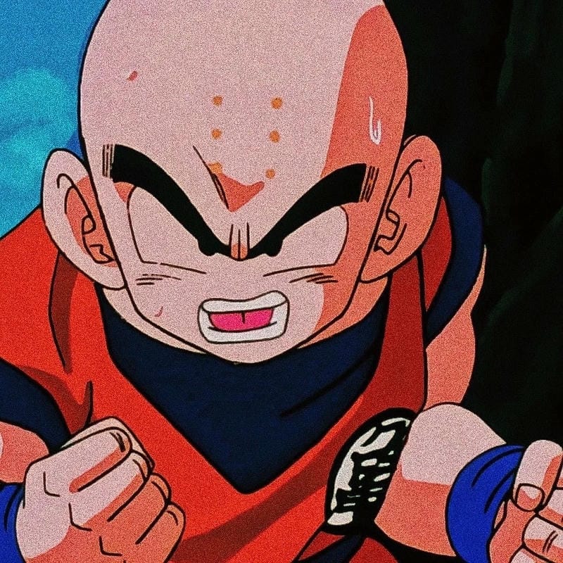 anh-krillin (18)
