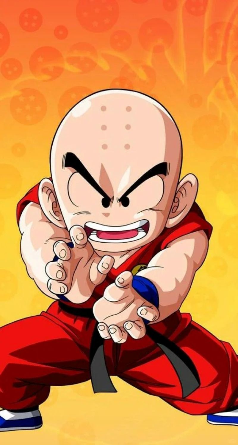 anh-krillin (22)