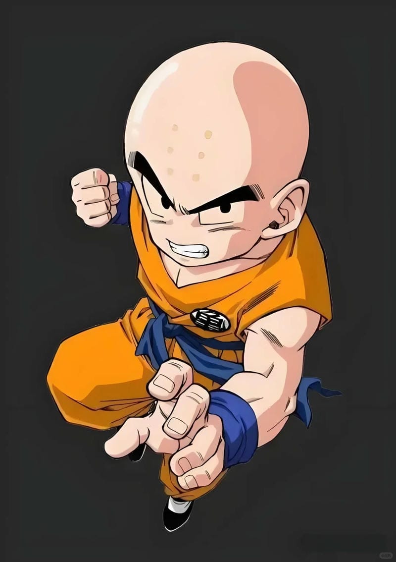 anh-krillin (24)