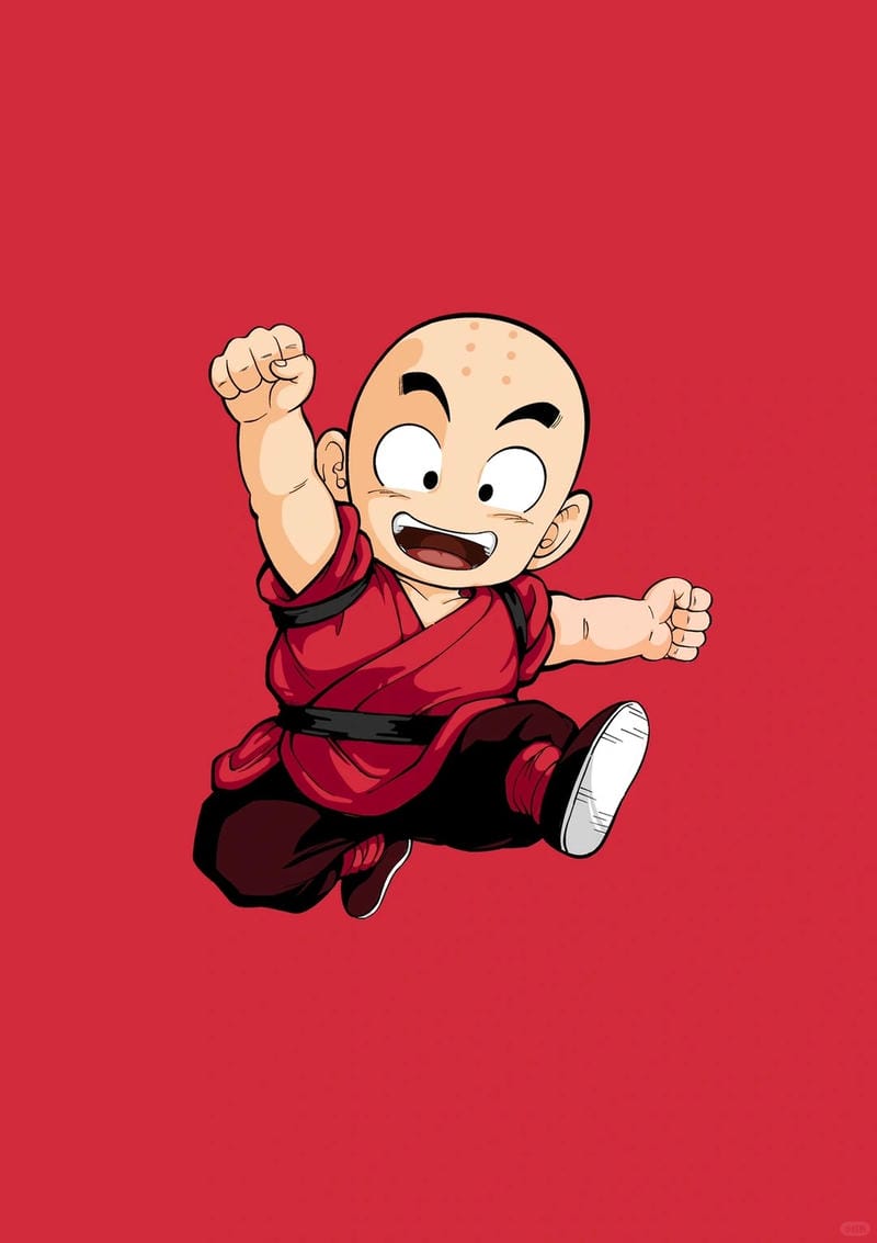 anh-krillin (27)