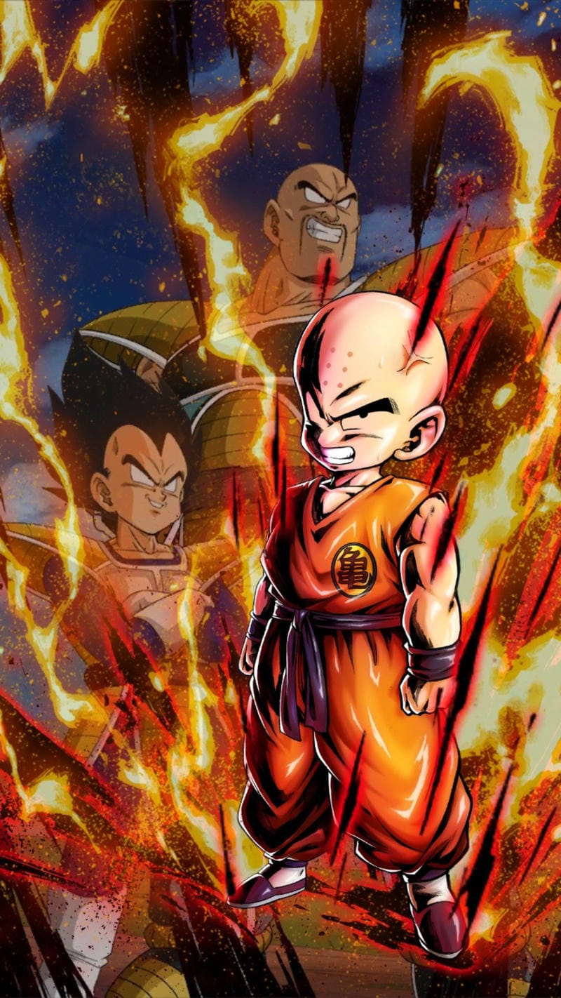 anh-krillin (5)