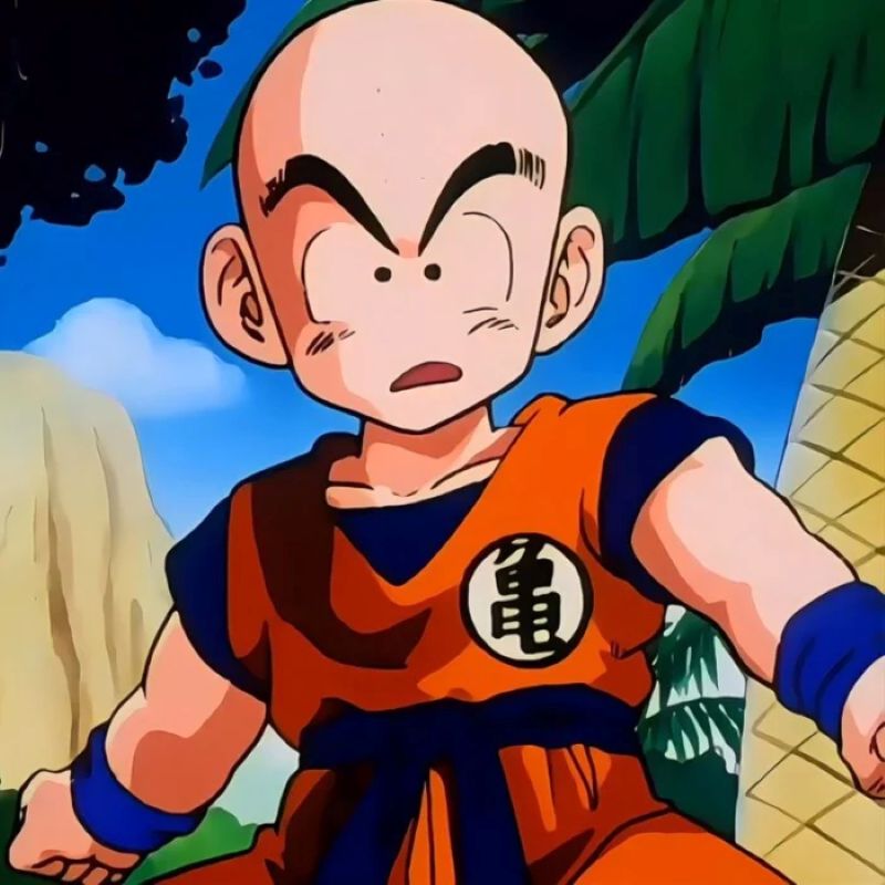 anh-krillin (7)