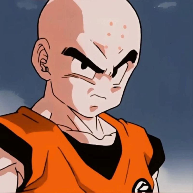 anh-krillin (8)