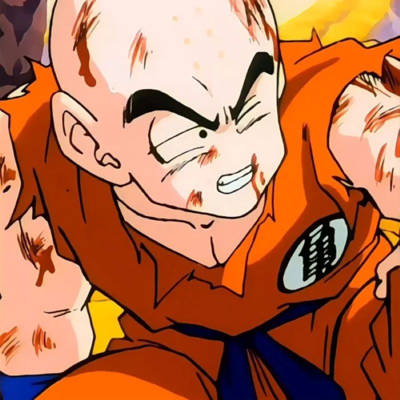 anh-krillin (9)