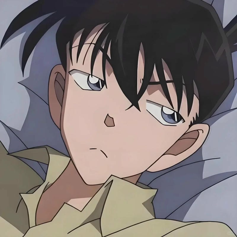anh-kudo-shinichi (23)