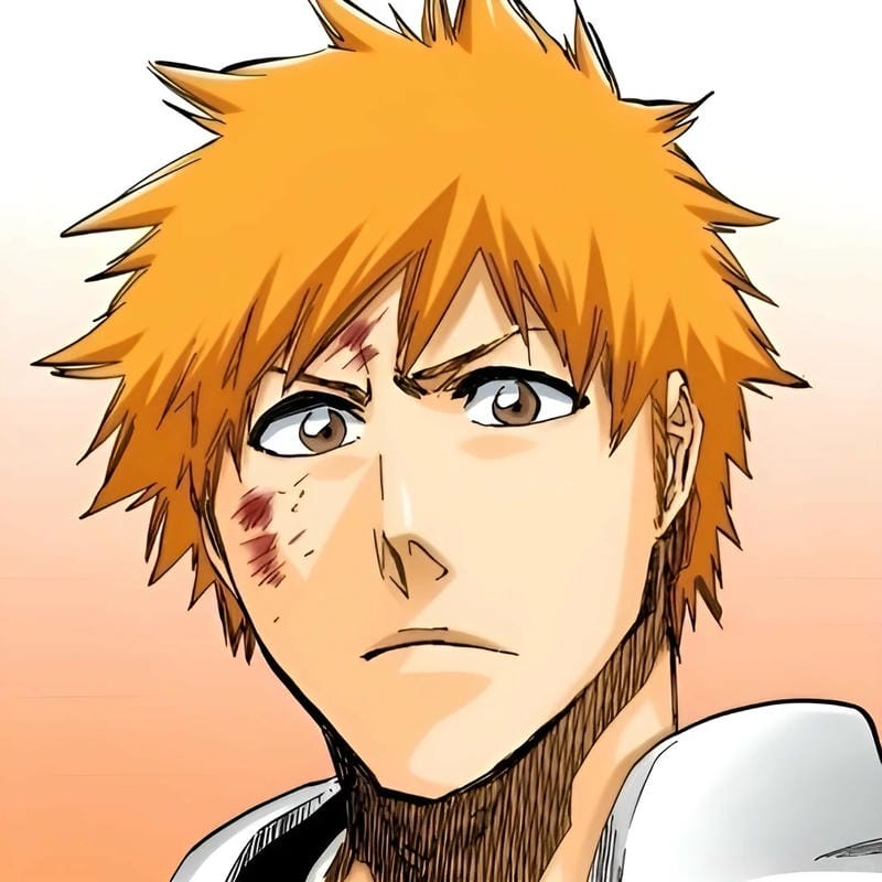 anh-kurosaki-ichigo (10)