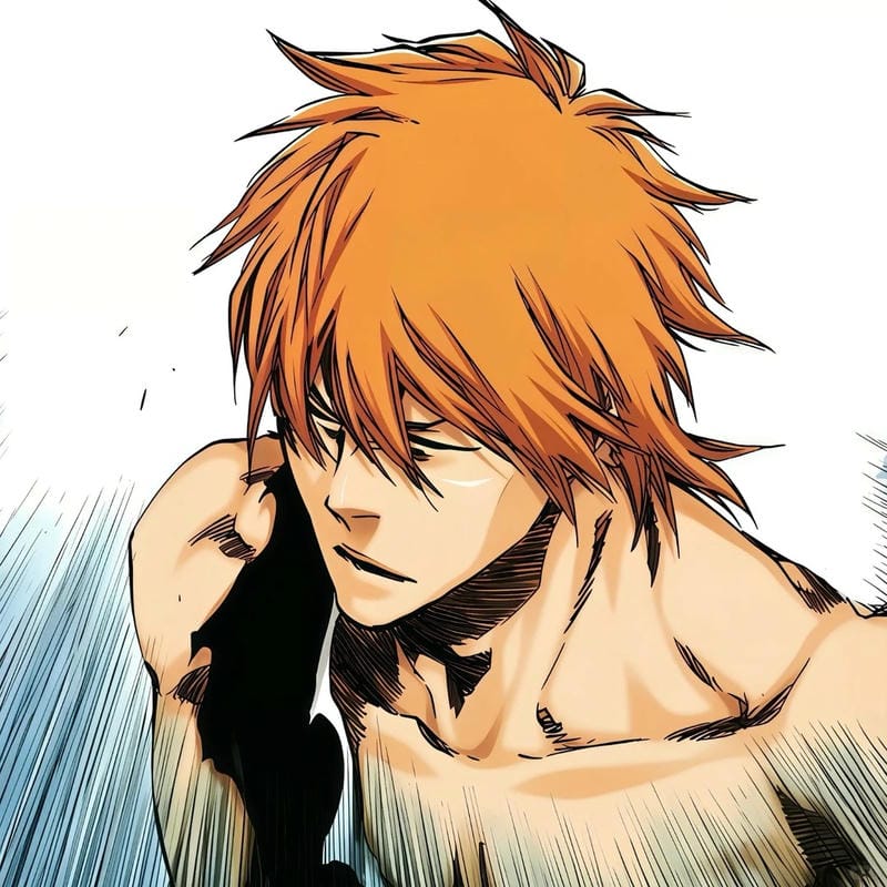 anh-kurosaki-ichigo (12)