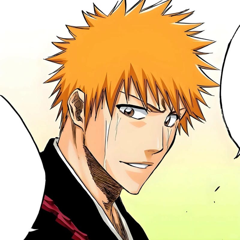anh-kurosaki-ichigo (7)