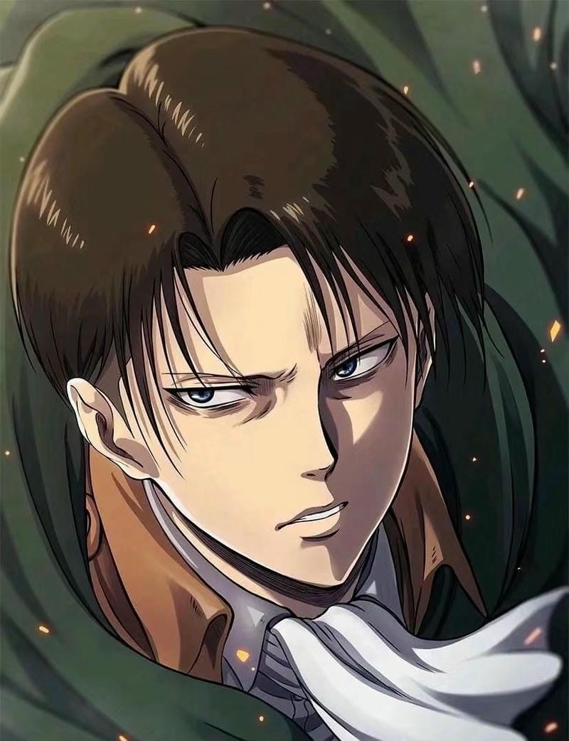 anh-levi-ackerman (14)