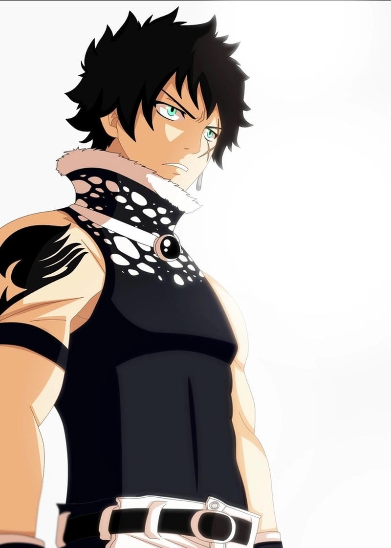 anh-mest-gryder (19)