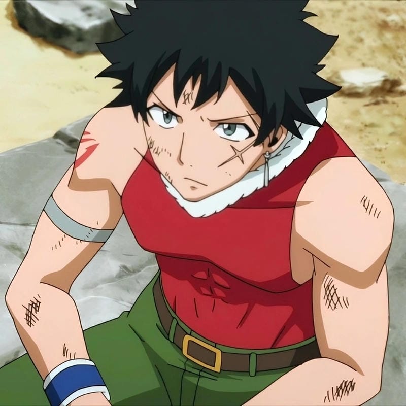 anh-mest-gryder (27)