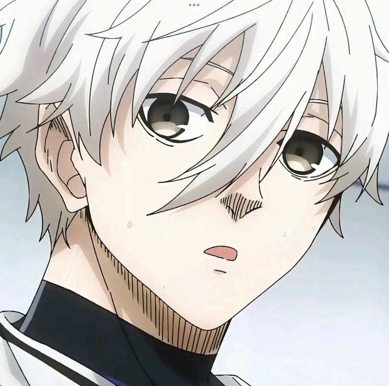 anh-nagi-seishiro (19)