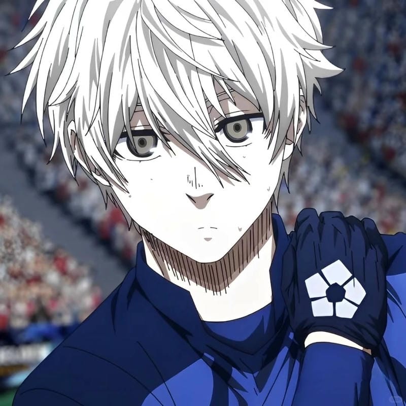 anh-nagi-seishiro (5)