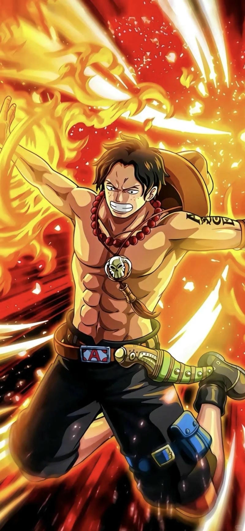 anh-portgas-d-ace (11)