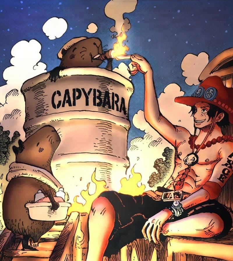 anh-portgas-d-ace (4)