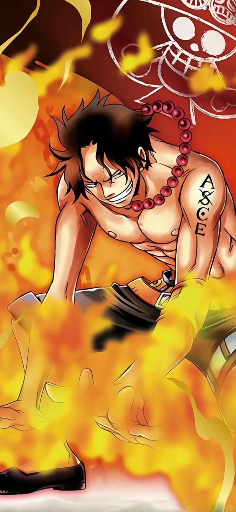 anh-portgas-d-ace (7)