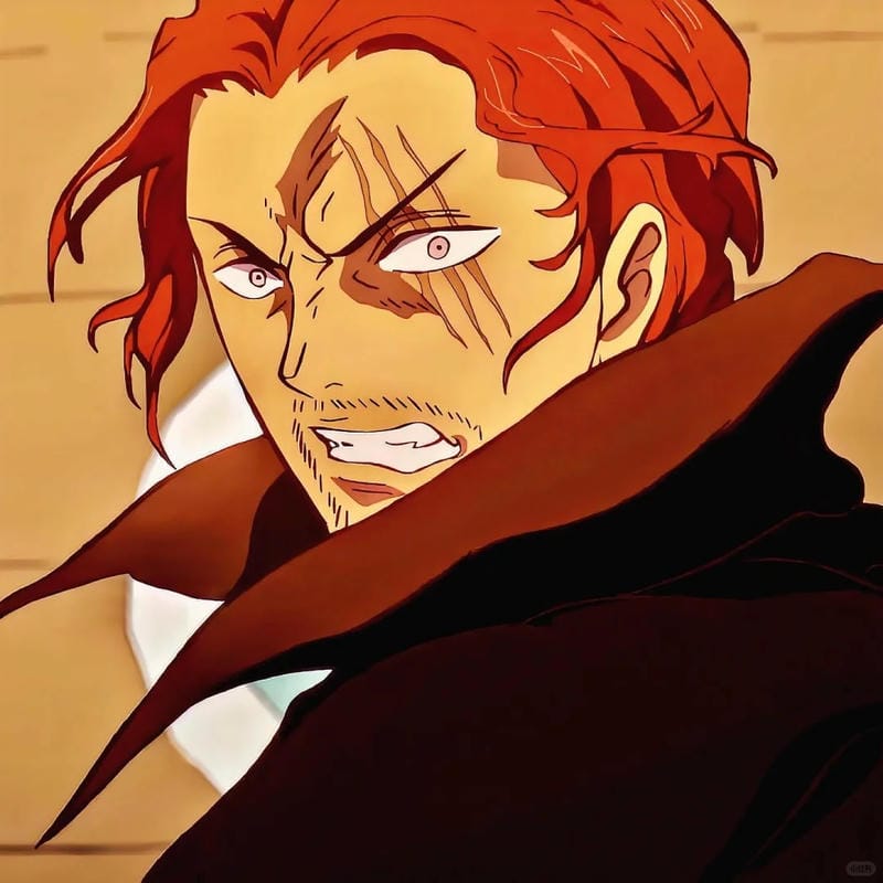anh-shanks (12)