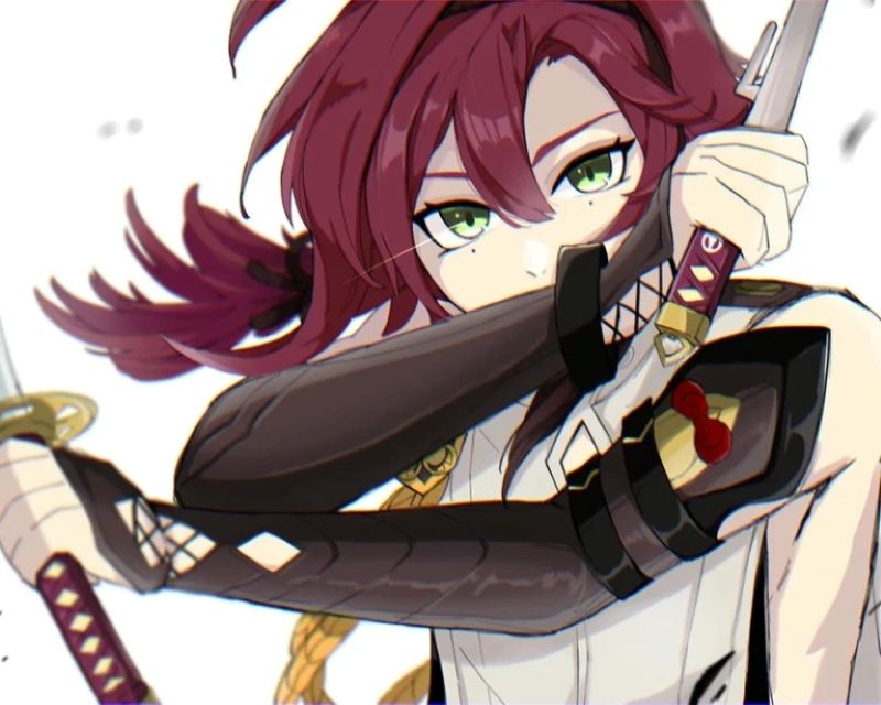 anh-shikanoin-heizou (8)