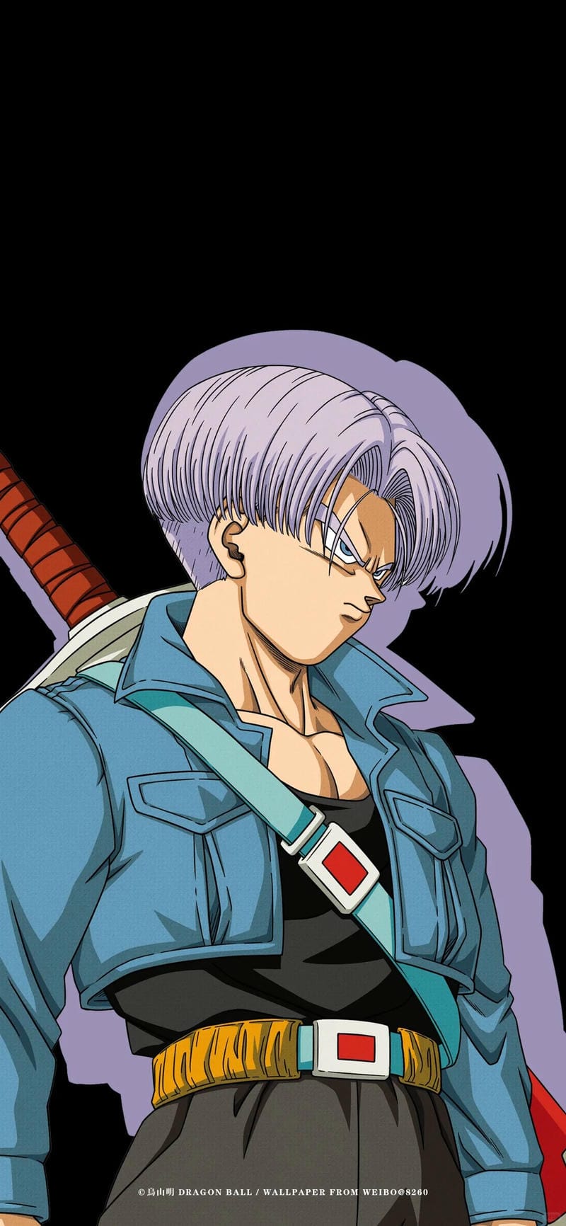 anh-trunks (4)