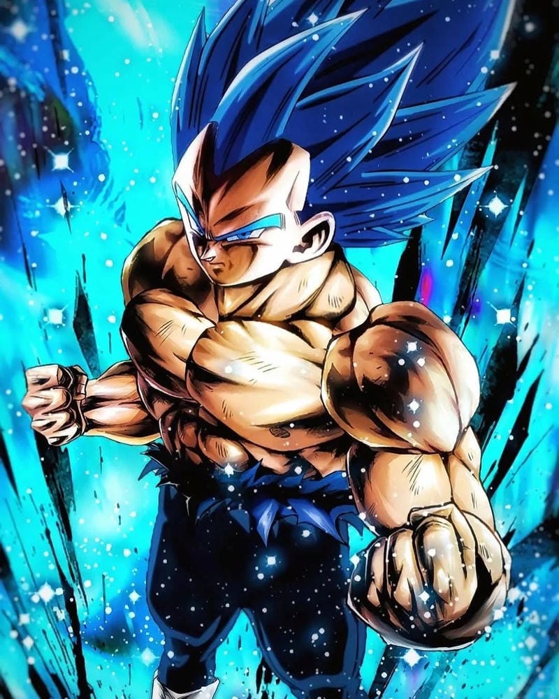 anh-vegeta (1)
