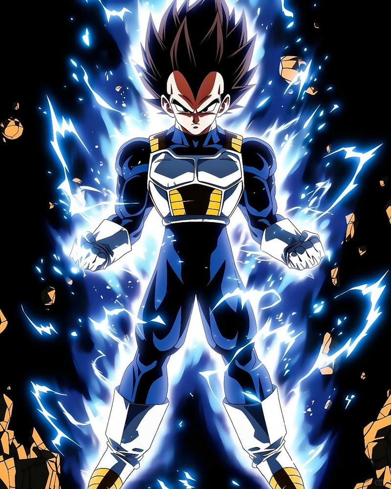 anh-vegeta (17)
