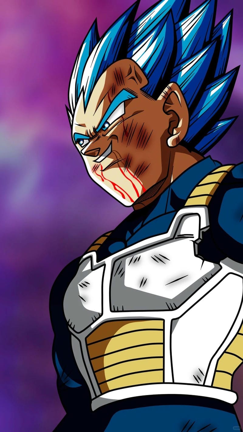 anh-vegeta (21)