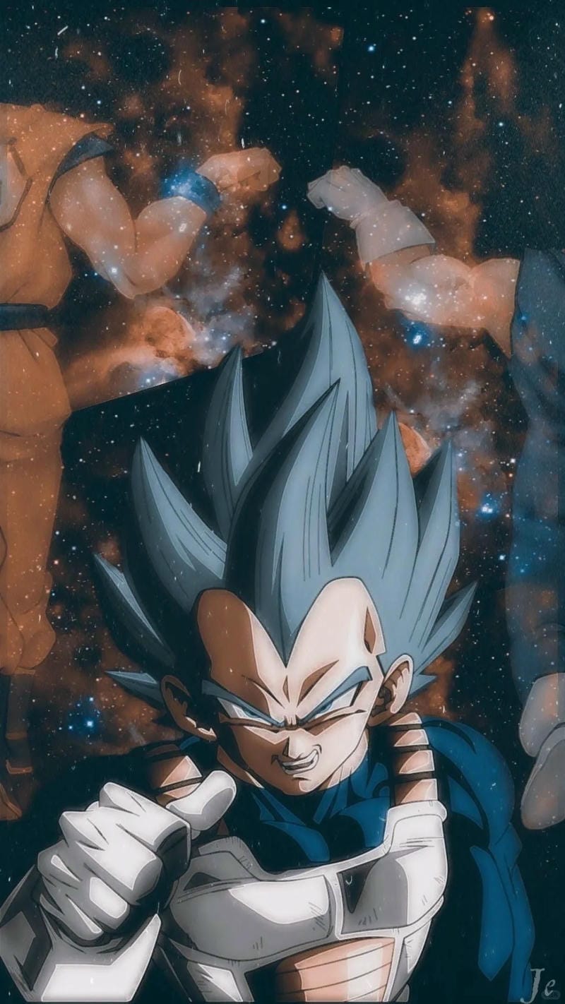 anh-vegeta (27)