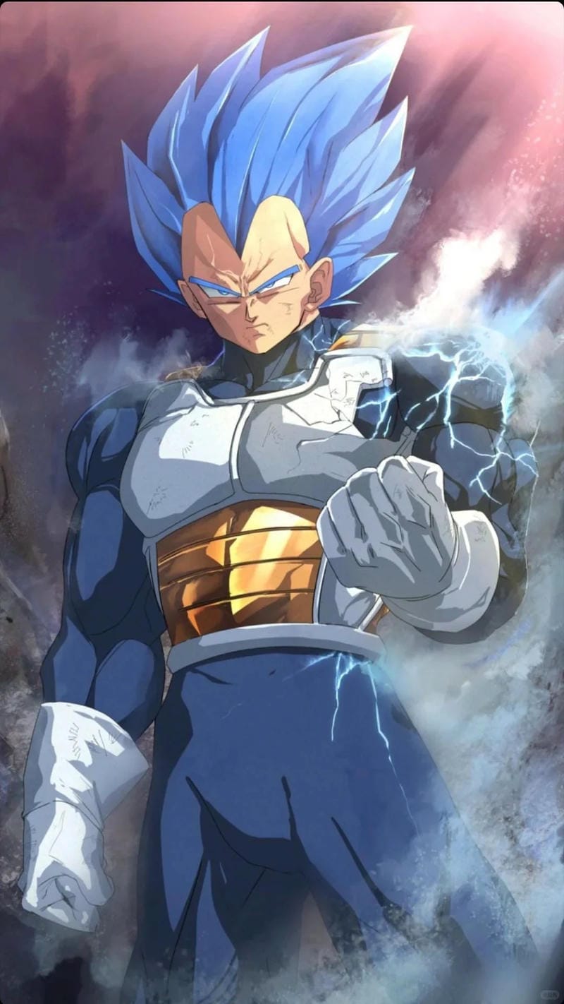 anh-vegeta (28)