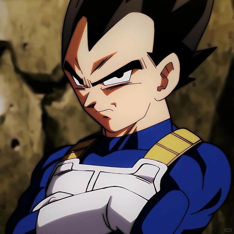 anh-vegeta (4)