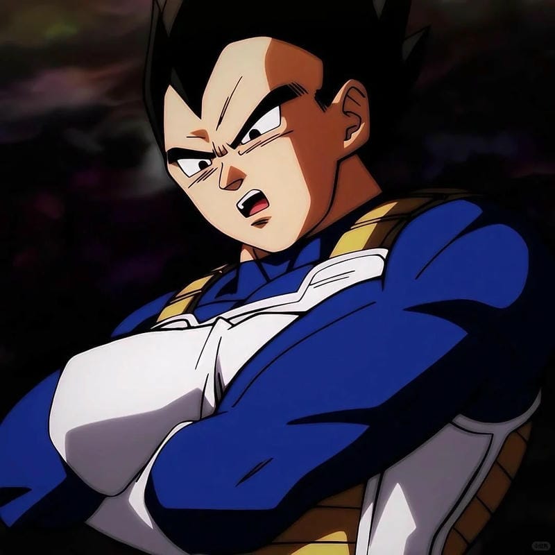 anh-vegeta (5)