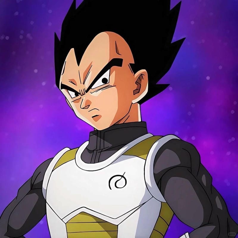 anh-vegeta (6)