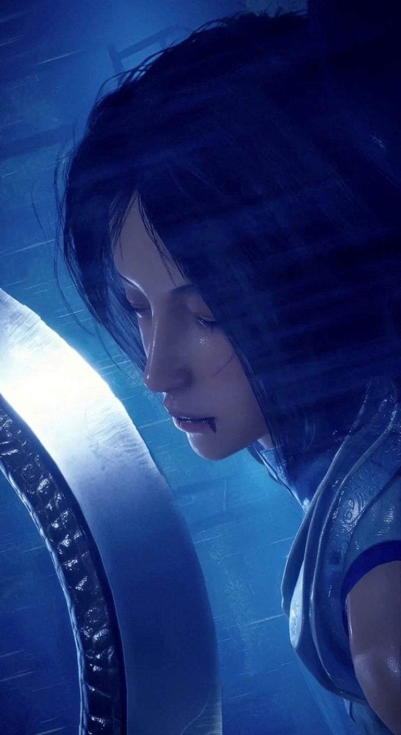 hinh-anh-co-nhu-tuyet (14)