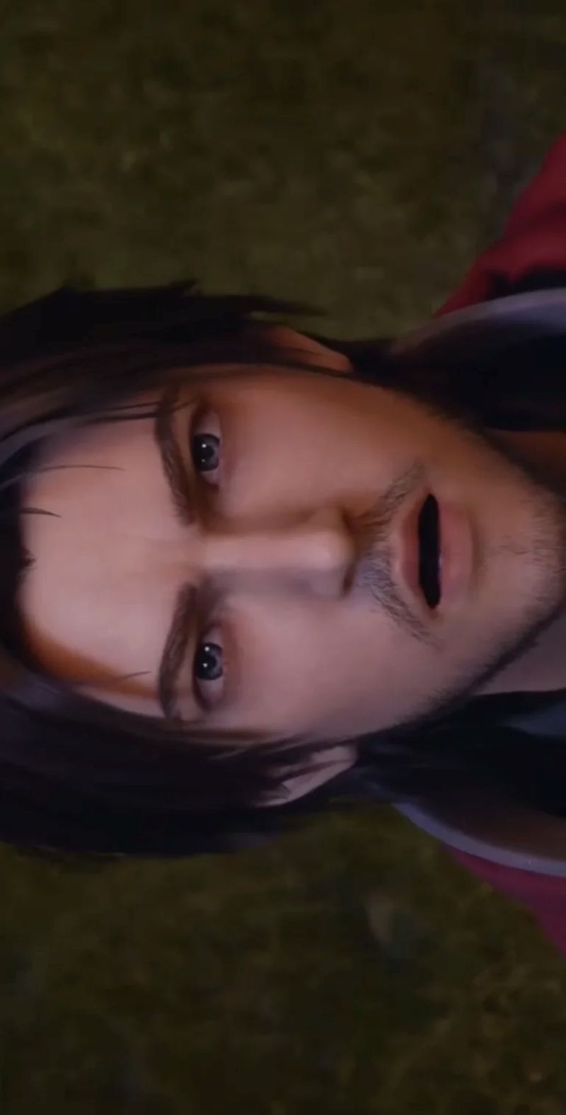 hinh-anh-long-tinh-vu (13)