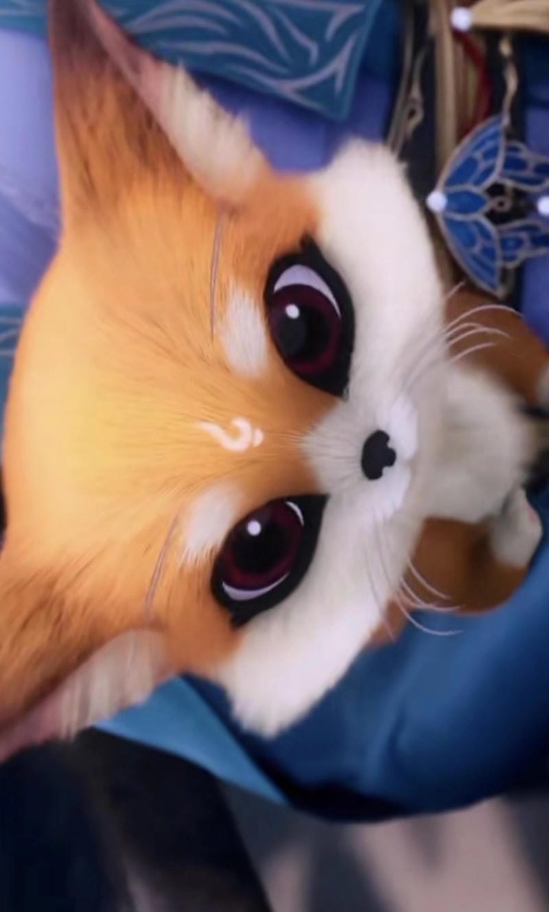 hinh-anh-thon-thon (4)