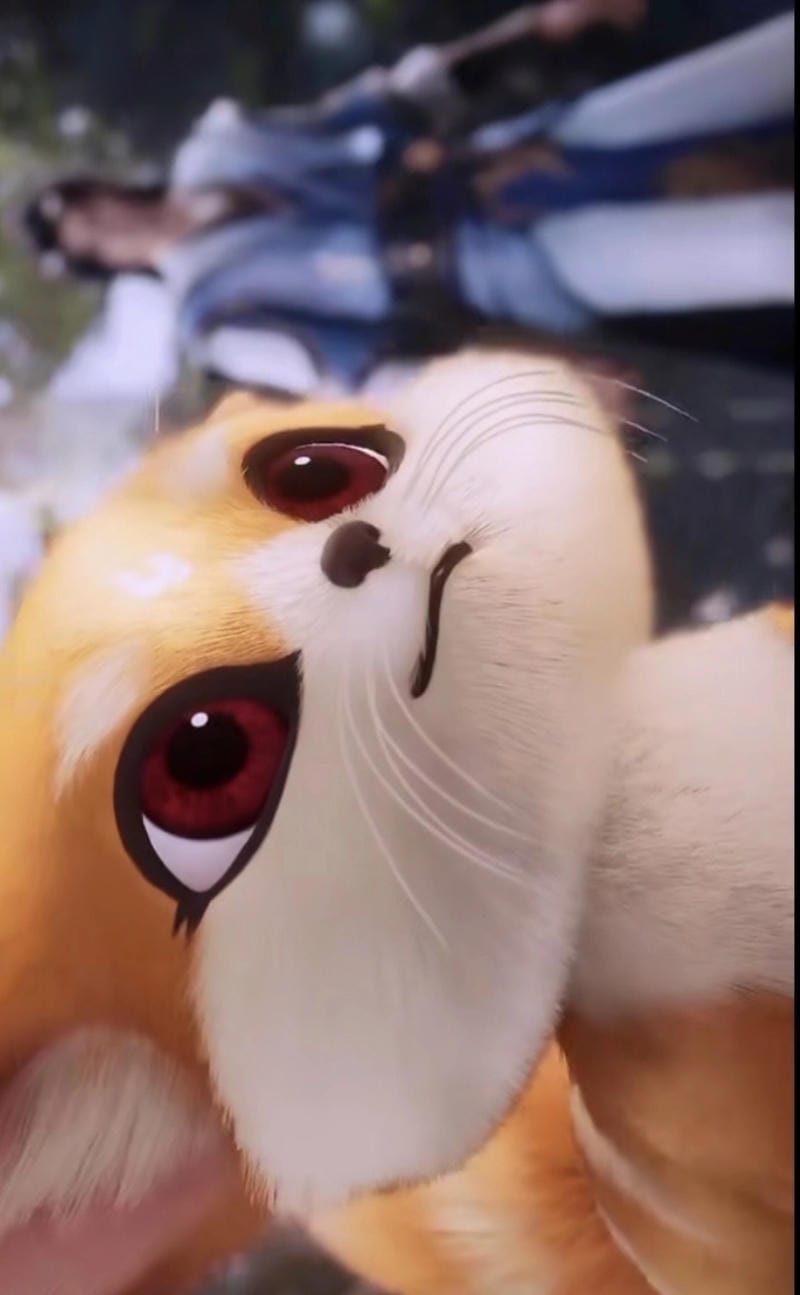 hinh-anh-thon-thon (5)