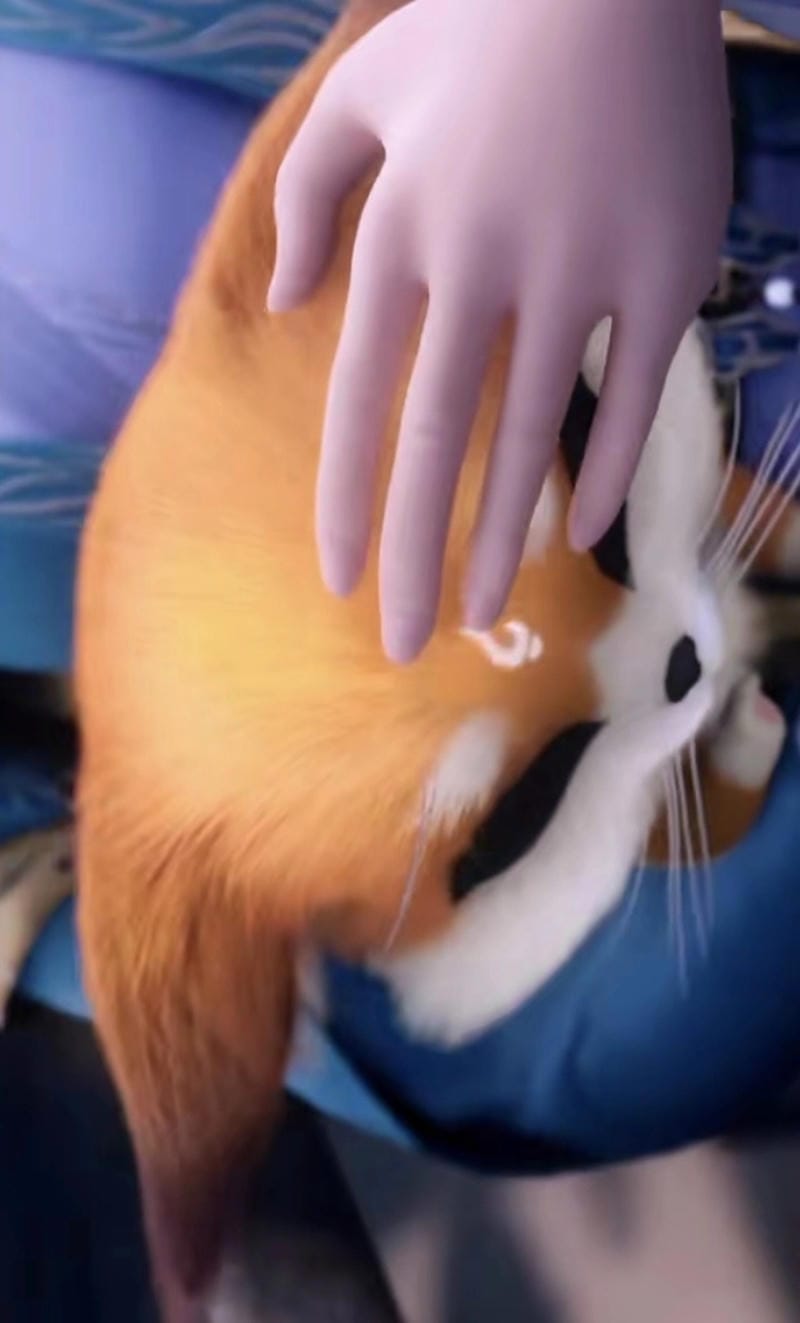 hinh-anh-thon-thon (6)