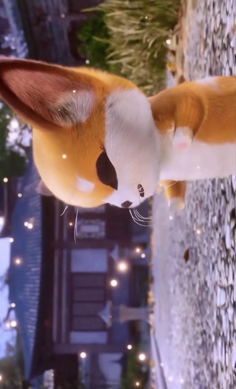 hinh-anh-thon-thon (9)